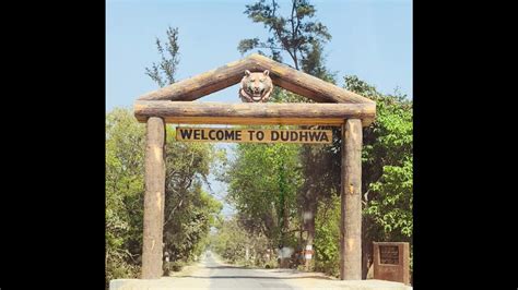 Dudhwa National Park set to open for tourists from Nov 15 - Hindustan Times