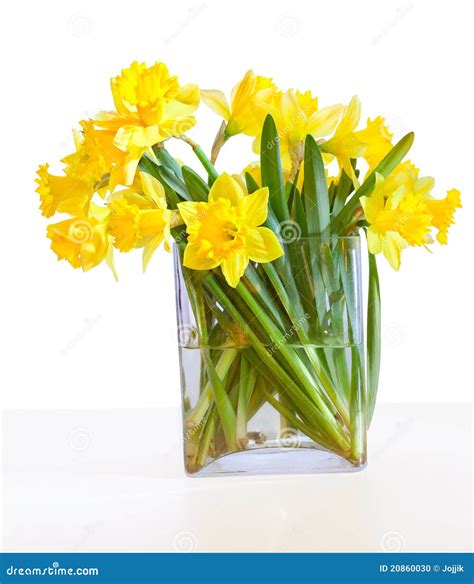 A Bouquet of Beautiful Daffodils Stock Photo - Image of beauty, glass: 20860030