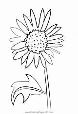 Sunflower With Leaf Coloring Page For Kids  Free Sunflowers Printable sketch template
