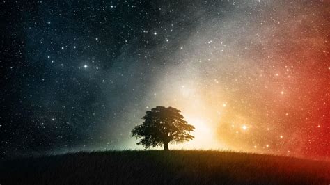 Galaxy Tree Wallpapers - Top Free Galaxy Tree Backgrounds - WallpaperAccess