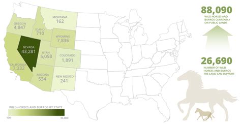 Wild horse herds reach 'devastating levels' across the West - E&E News ...