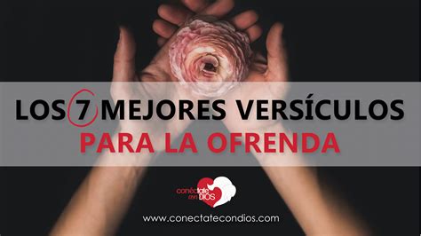 Los 7 Mejores Versículos para la Ofrenda - Conéctate Con Dios