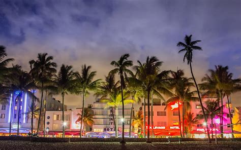 Miami Beach at Night, Miami, architecture, trees, buildings, HD ...