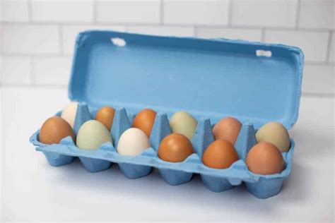 Blue Flat-Top Dozen Egg Cartons (Pack of 10) – Authentic Heirlooms