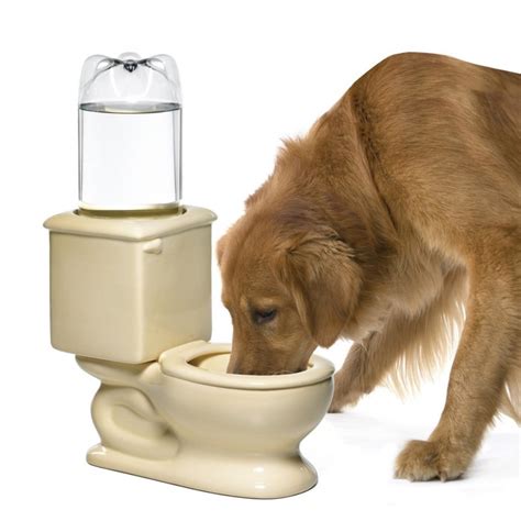 Different Toilet Water Bowl for Pets | Home Designing