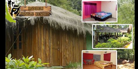 Dandeli Resorts Packages