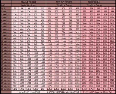 Toy Poodle Puppy Growth Chart | Wow Blog