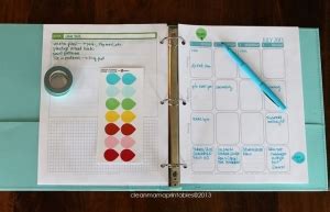 Clean Mama 18 Month Planner Giveaway - New Nostalgia