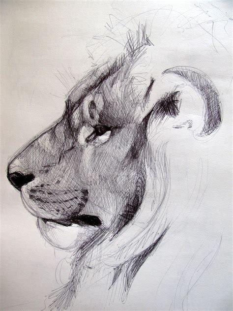 Animal sketches 001 by milinkre on DeviantArt