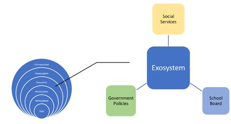 Ecological model of exosystem | Download Scientific Diagram