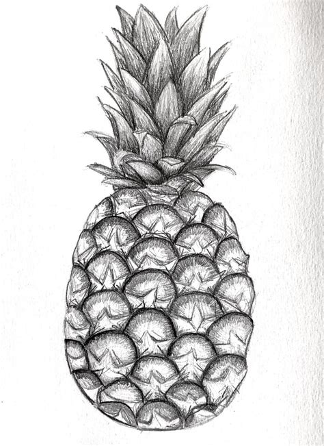 Pineapple drawing | Pineapple drawing, Pineapple art, Fruits drawing