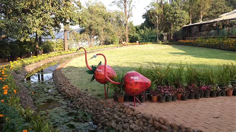 Mapro Garden Mahabaleshwar - YouTube