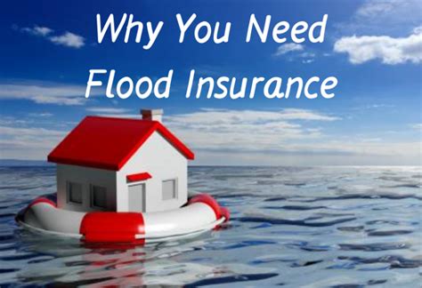 Why You Need Flood Insurance - Homes Run Real Estate