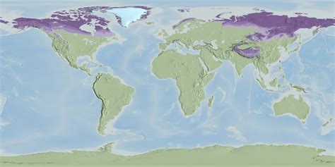 SVS: Global Permafrost Layers designed for Science On a Sphere (SOS) and WMS