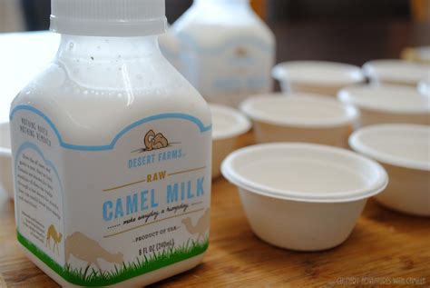 Tasting Notes: Camel Milk