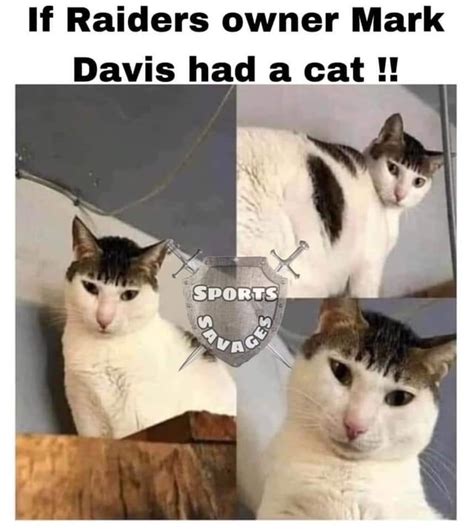 If Mark Davis had a Cat : r/nflmemes