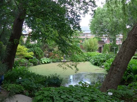 Botanical Garden Kruidtuin (Leuven) - 2020 All You Need to Know BEFORE ...