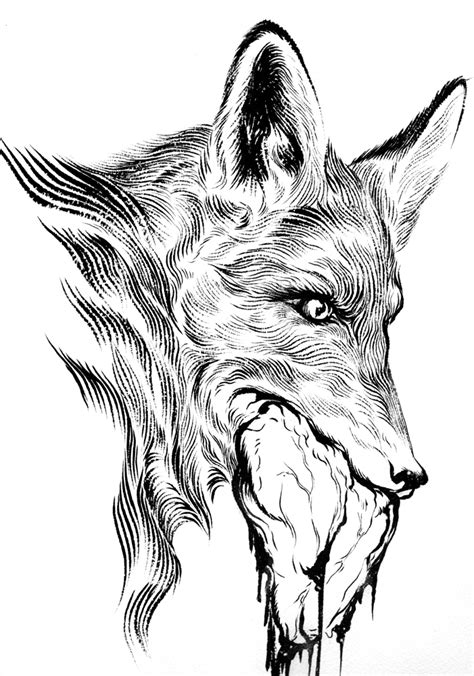 Angry Fox Drawing at GetDrawings | Free download