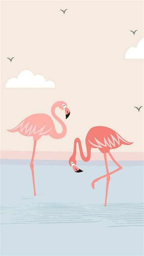 Flamingo Phone Wallpapers - Top Free Flamingo Phone Backgrounds ...