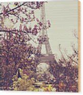 Eiffel Tower, Paris Art Print by Liz Rusby - Photos.com