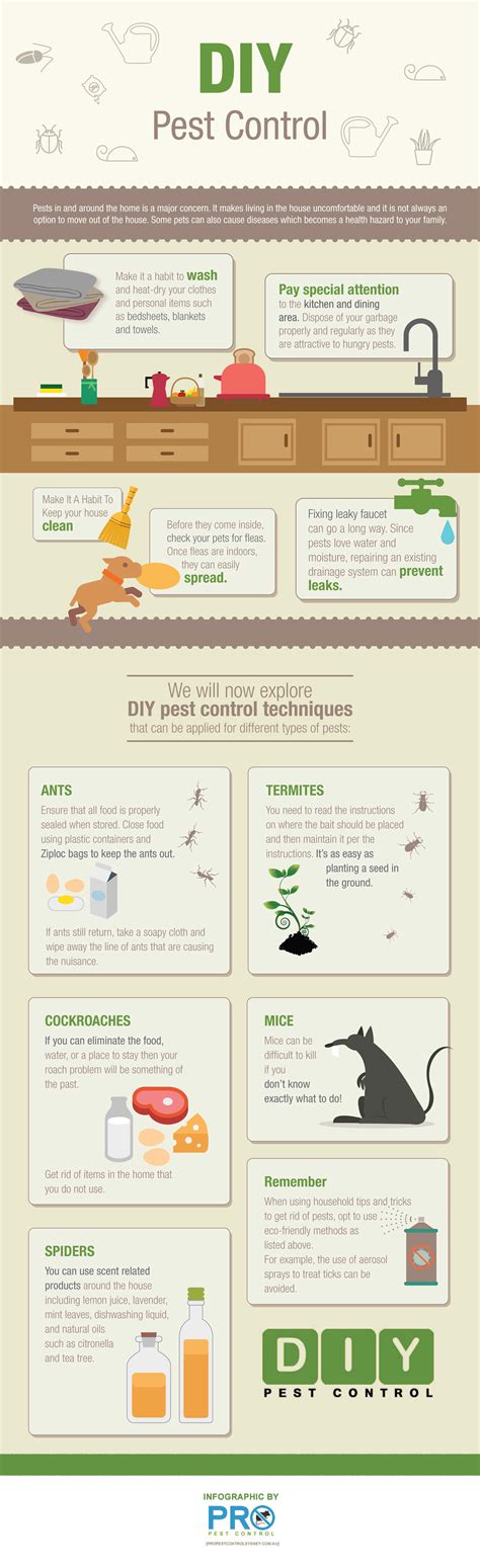 DIY Pest Control [Infographic]