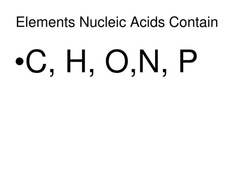 PPT - Nucleic Acids PowerPoint Presentation, free download - ID:1460855