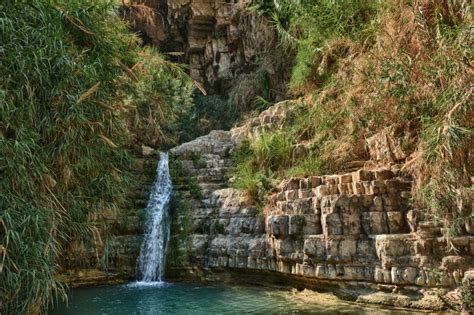 Ein Gedi Nature Reserve