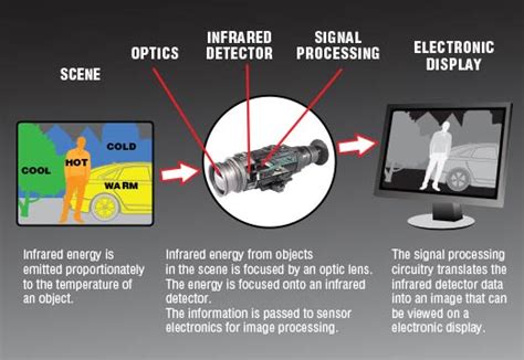 How Thermal Imaging Works in Rifle Scopes, Binoculars, Monoculars | ATN ...