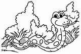 Drawings Of Rattlesnakes Coloring Page  Free Printable Pages sketch template