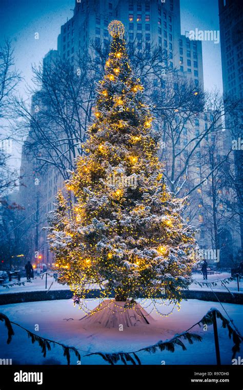 Snow-covered Christmas tree with golden lights glowing against a stark ...