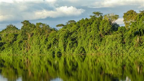 Tourist | Discover Suriname