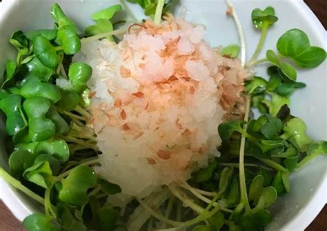 White radish sprout, grated Japanese raddish salad (kaiware ...