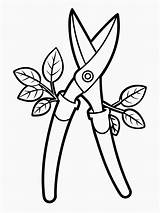Pruning Shears Secateurs coloring Book Pages For Children And Adults  sketch template