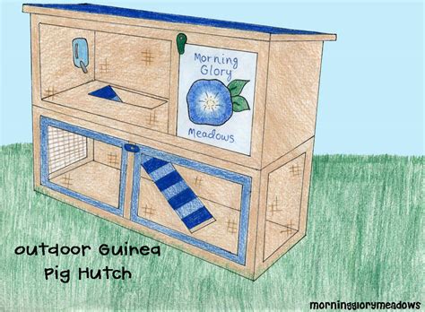 Outdoor Guinea Pig Hutch by MorningGloryMeadows on DeviantArt