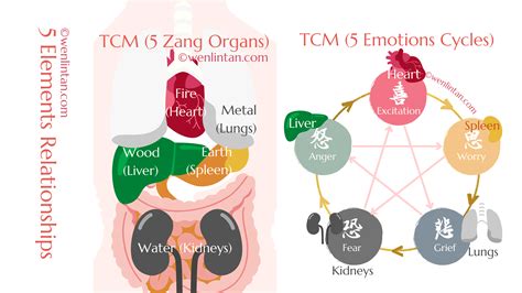 Five Elements Relationships | Flow with Wenlin