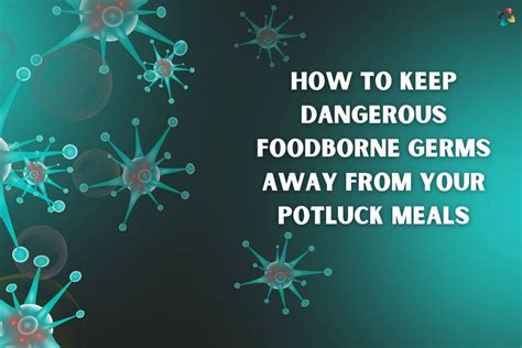 How To Keep Dangerous Foodborne Germs Away From Potluck Meals | The Lifesciences Magazine