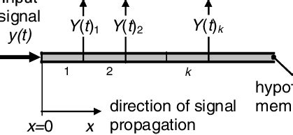 Temporal multi-scale framework for modelling the effects of cortical... | Download Scientific ...