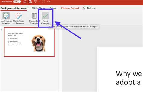 How to Remove the Background from a Picture in PowerPoint – remove.bg Blog