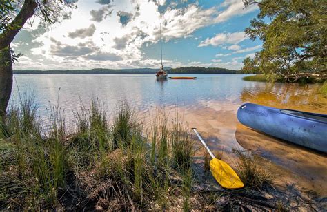 Johnsons Beach campground | NSW National Parks