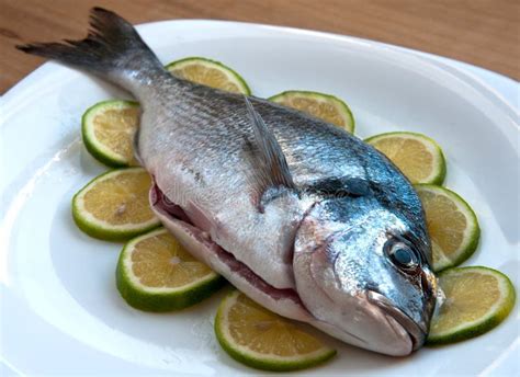 Fresh gilthead fish stock photo. Image of preparation - 16740992