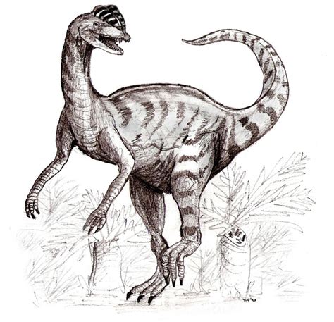 Bestand:Sketch dilophosaurus.jpg - Wikipedia
