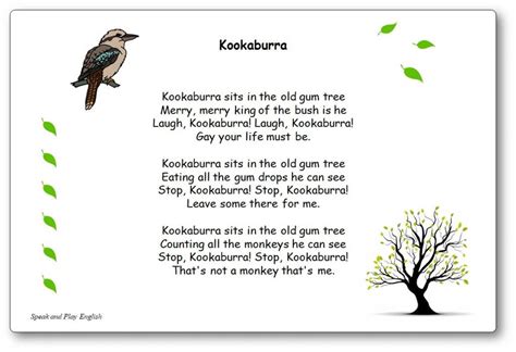 Kookaburra | Nursery rhymes, Kids songs, Nursery rhymes songs