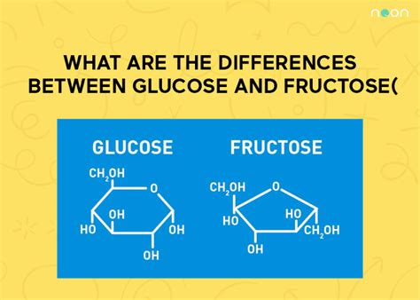 What Are The Differences Between Glucose And Fructose - Noon Academy