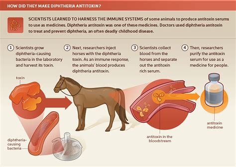 Diphtheria Antitoxin