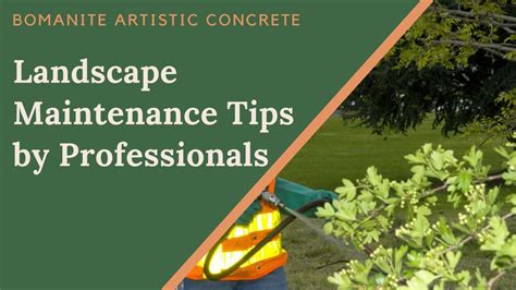 Landscape Maintenance Tips by Professionals by bomanitecon - Issuu