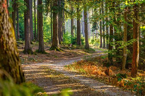 Auszeichnung „Qualitätsnaturpark" | Naturpark-Taunus.de