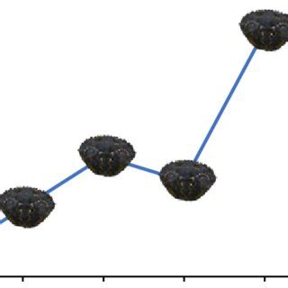 Trap types used during European green crab trapping efforts on the ...