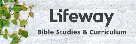 LifeWay Bible Studies - Christianbook.com