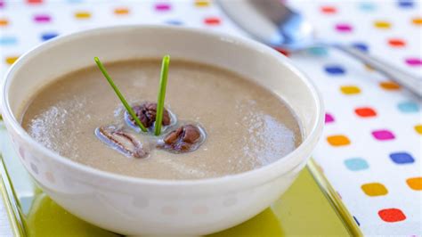 Chestnut Fennel Cream Soup - Online Culinary School (OCS)