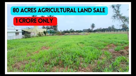 80 Acres Agriculture land sale Hyderabad - YouTube